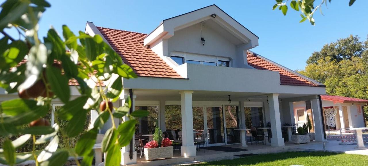 Seosko Domacinstvo Jovanovic Danilovgrad Exteriér fotografie